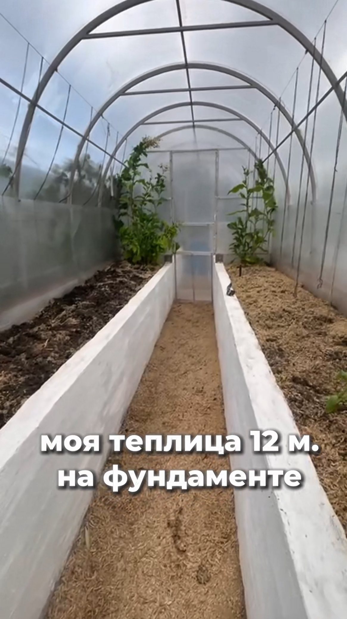 Теплица Нади, 12 метров